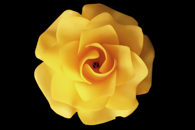 1562141826108164.png image.png